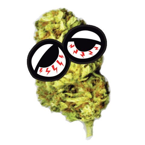 seedlessclothing giphyupload weed stoner seedless Sticker