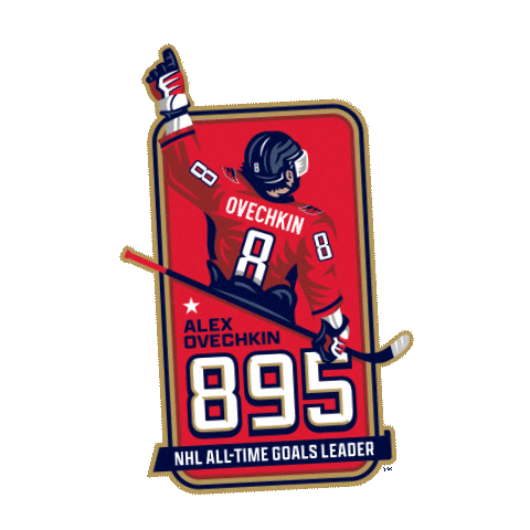 National Hockey League Goal Sticker by NHL