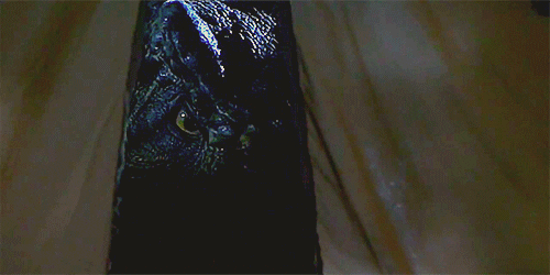 world GIF