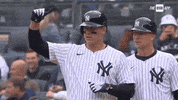 Happy Lets Go GIF by YES Network