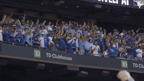 Blue Jays Baseball GIF by Toronto Blue Jays