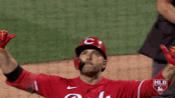 Regular Season Sport GIF by MLB