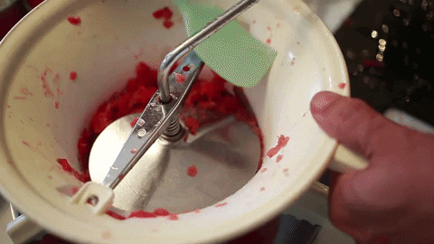 carlaperalva giphygifmaker food tomate estadao GIF