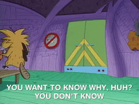 nickrewind nicksplat angry beavers GIF