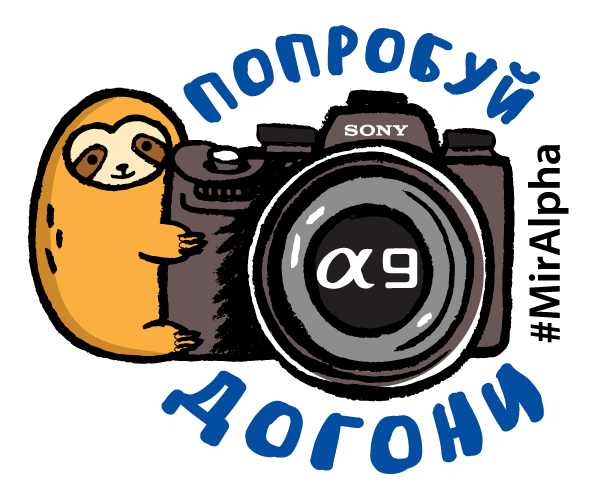 A9 Фотограф Sticker by Sony Россия