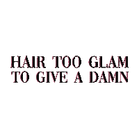 Hairstyles Hairextensions Sticker by Razzl Dazzl Hair