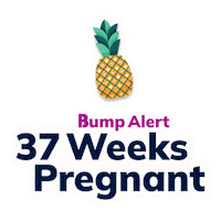 Pregnancy Expecting Sticker by The Bump