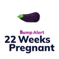 Pregnancy Expecting Sticker by The Bump