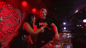 tomorrowland GIF by Tiësto