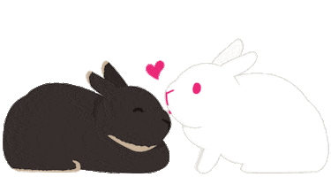 Heart Love Sticker by rabbitomart