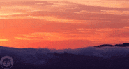 sunset clouds GIF by Poncho