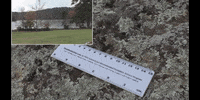 Education Vocabulary GIF by DIIMSA Stock