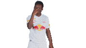 Football Watching You Sticker by FC Red Bull Salzburg