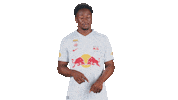 Too Late Football Sticker by FC Red Bull Salzburg