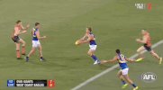 aussie rules finals GIF by AFL