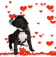 dogs STICKER