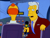 Season 3 Airplane GIF by The Simpsons
