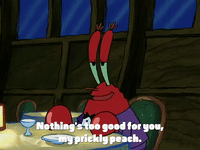 season 2 GIF by SpongeBob SquarePants