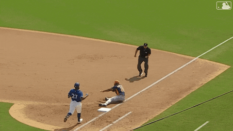 Blue Jays Jump GIF by Toronto Blue Jays
