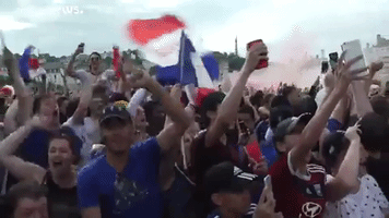 Celebrating France GIF by euronews