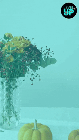 Level Up Happy Thanksgiving GIF by The Cool To Be Kind Project