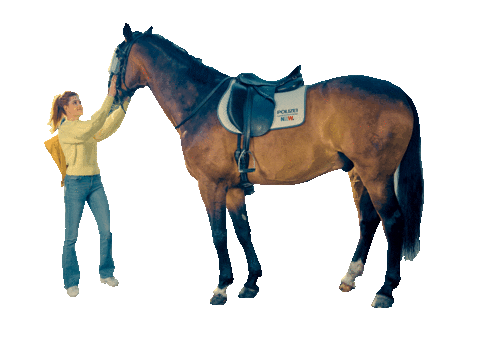 Horse Fos Sticker by Polizei NRW Karriere