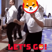 Shiba GIF by SHIB MEMES
