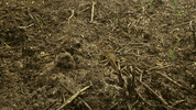 beauty landscape GIF by BBC Earth