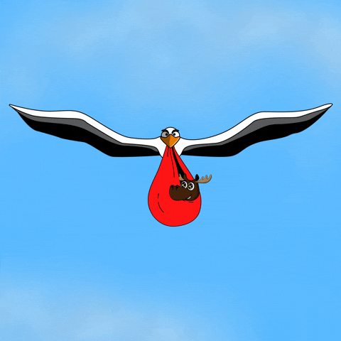 DoYouMoose giphyupload baby nft delivery GIF