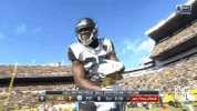 Jacksonville Jaguars Football GIF by NFL