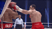 showtime boxing GIF by SHOWTIME Sports