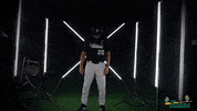 Tulane Rollwave GIF by GreenWave