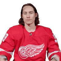 Ice Hockey No Sticker by Detroit Red Wings