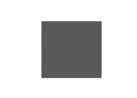 football gold Sticker by Florida State University