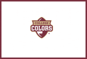 Florida State Fsu Sticker by College Colors Day