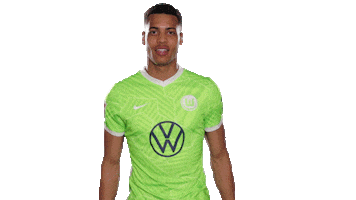 Happy Football Sticker by VfL Wolfsburg