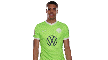 Football Hello Sticker by VfL Wolfsburg