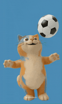 Soccer Futebol GIF