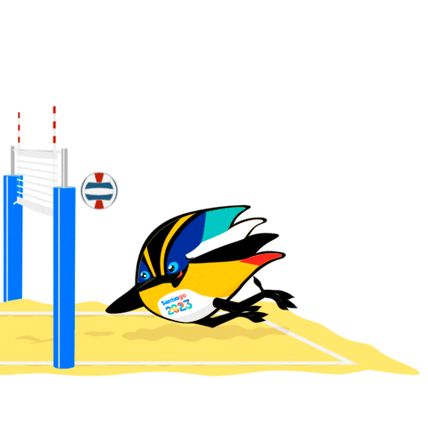 Volleyball Playa Sticker by Santiago 2023