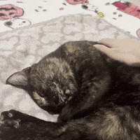Silly Lilly GIF