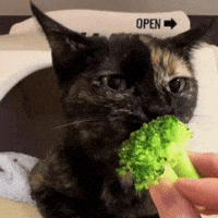 Silly Lilly GIF