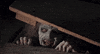 Evil Dead Horror GIF by filmeditor