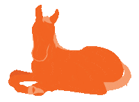 Horse Chilling Sticker by ZoetisEquine