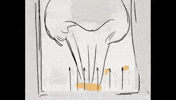 Animation Create GIF by Alex Boya