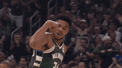 Nba Playoffs Sport GIF by NBA