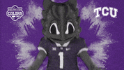 Excited College Sports GIF by College Colors Day