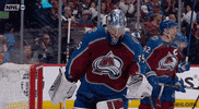 Ice Hockey Sport GIF by NHL