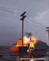 Fire Burn GIF by Sad Hamster