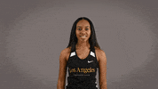Cal State La Track GIF by Cal State LA Golden Eagles