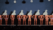 cat power cassius official GIF by CASSIUS